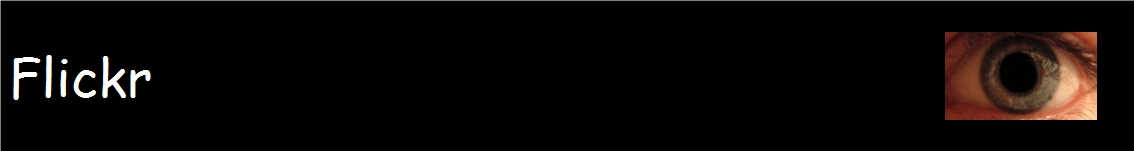 Flickr